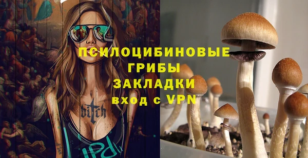 МДПВ Володарск